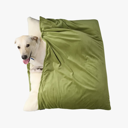 coussin-pour-chien-avec-couverture-vert-dessus
