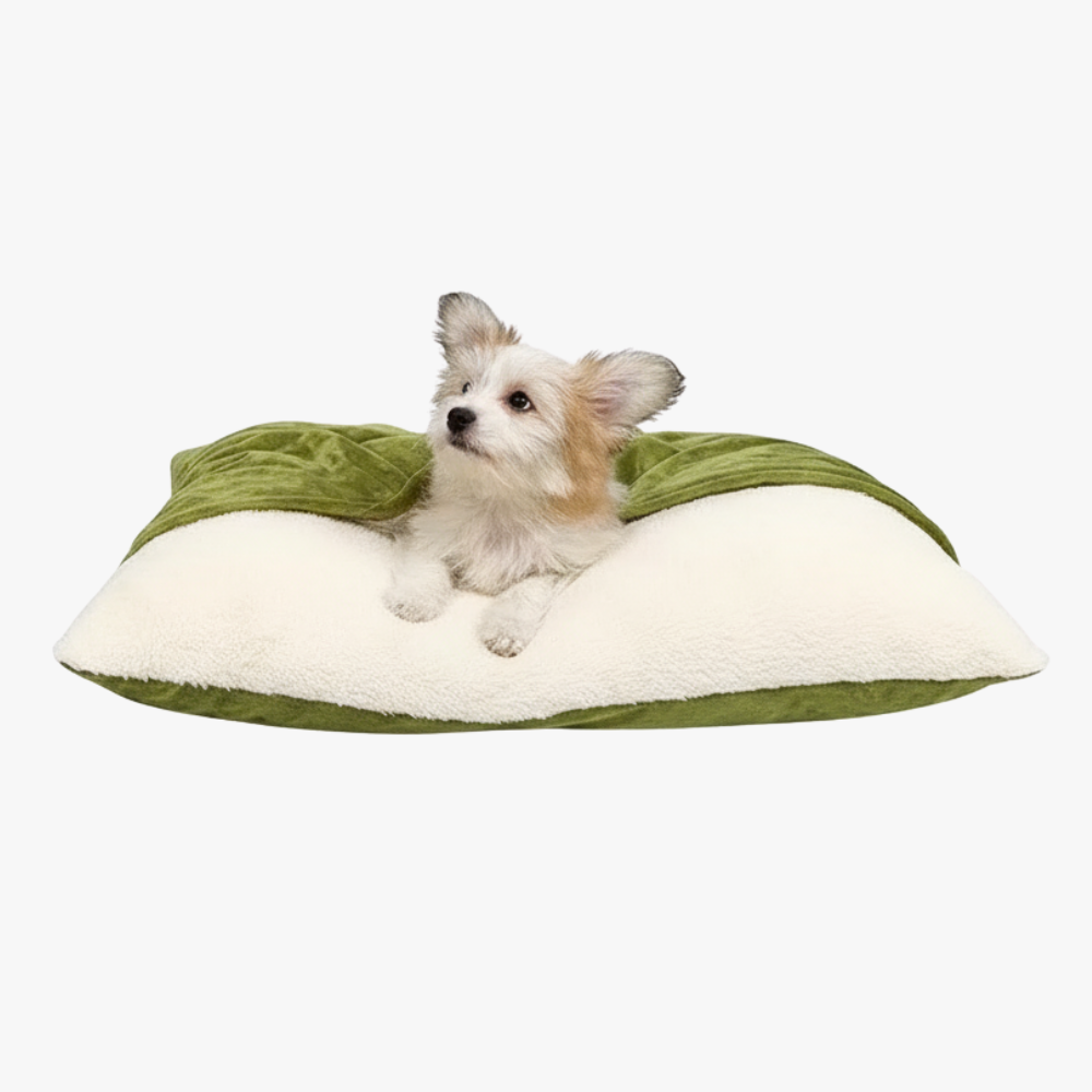 coussin-pour-chien-avec-couverture-vert-face