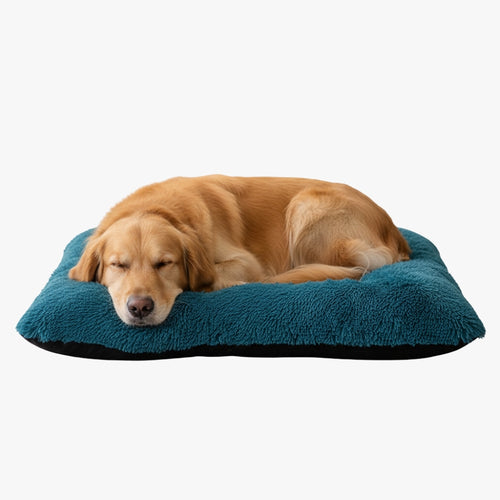coussin-pour-chien-rectangulaire-bleu-fourrure