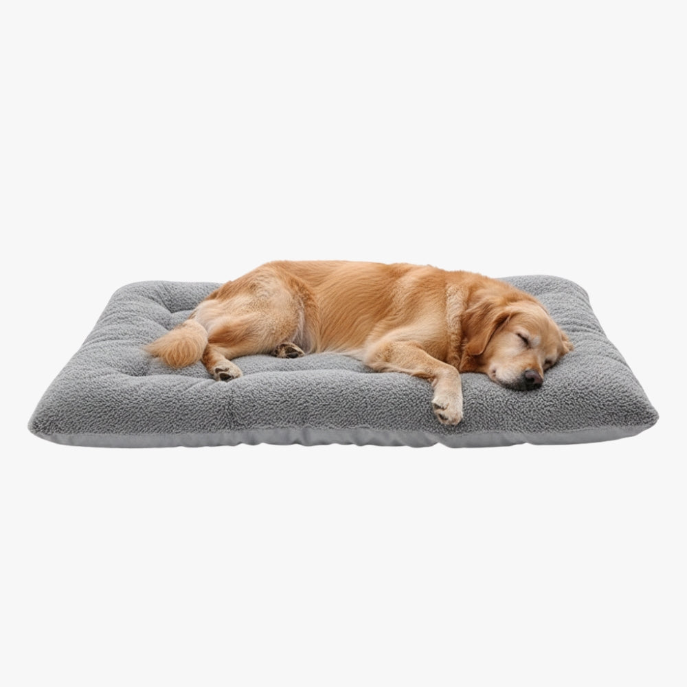 coussin-pour-grand-chien-gris