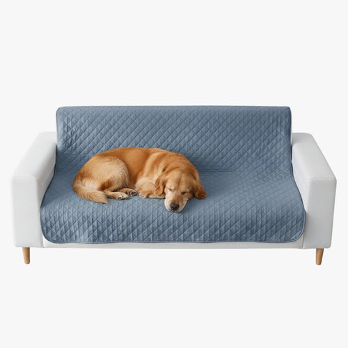 couverture-protection-de-canape-pour-chien-bleu
