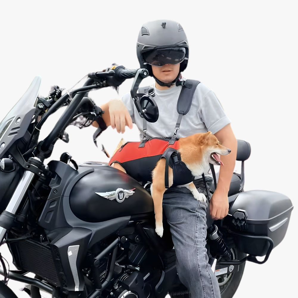harnais-pour-chien-moto-avant