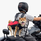 harnais-pour-chien-moto-dos