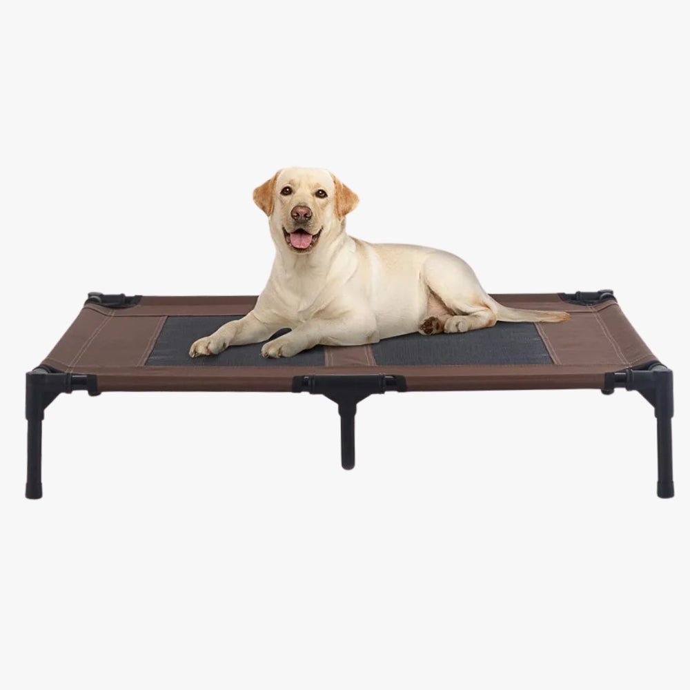 lit-de-camp-pour-chien-marron