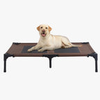 lit-de-camp-pour-chien-marron