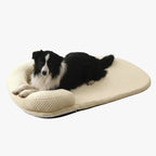 lit-rafraichissant-pour-chien-beige