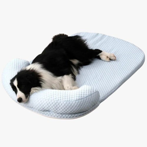 lit-rafraichissant-pour-chien-bleu