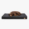 matelas-orthopedique-noir-pour-grand-chien-face