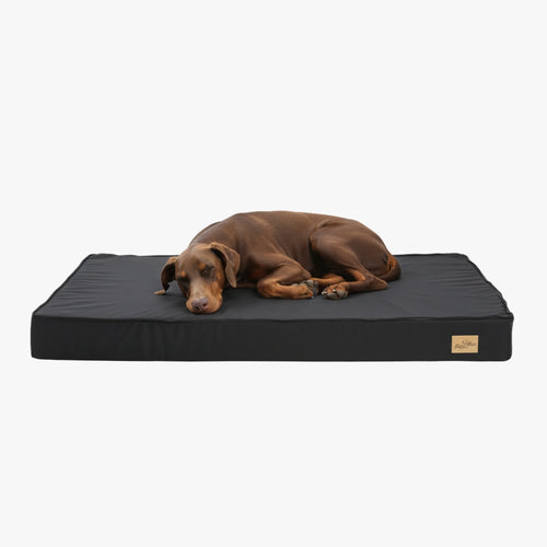 matelas-orthopedique-noir-pour-grand-chien-face
