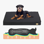 matelas-orthopedique-noir-pour-grand-chien-schema