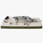 matelas-pour-chien-auto-chauffant-vert