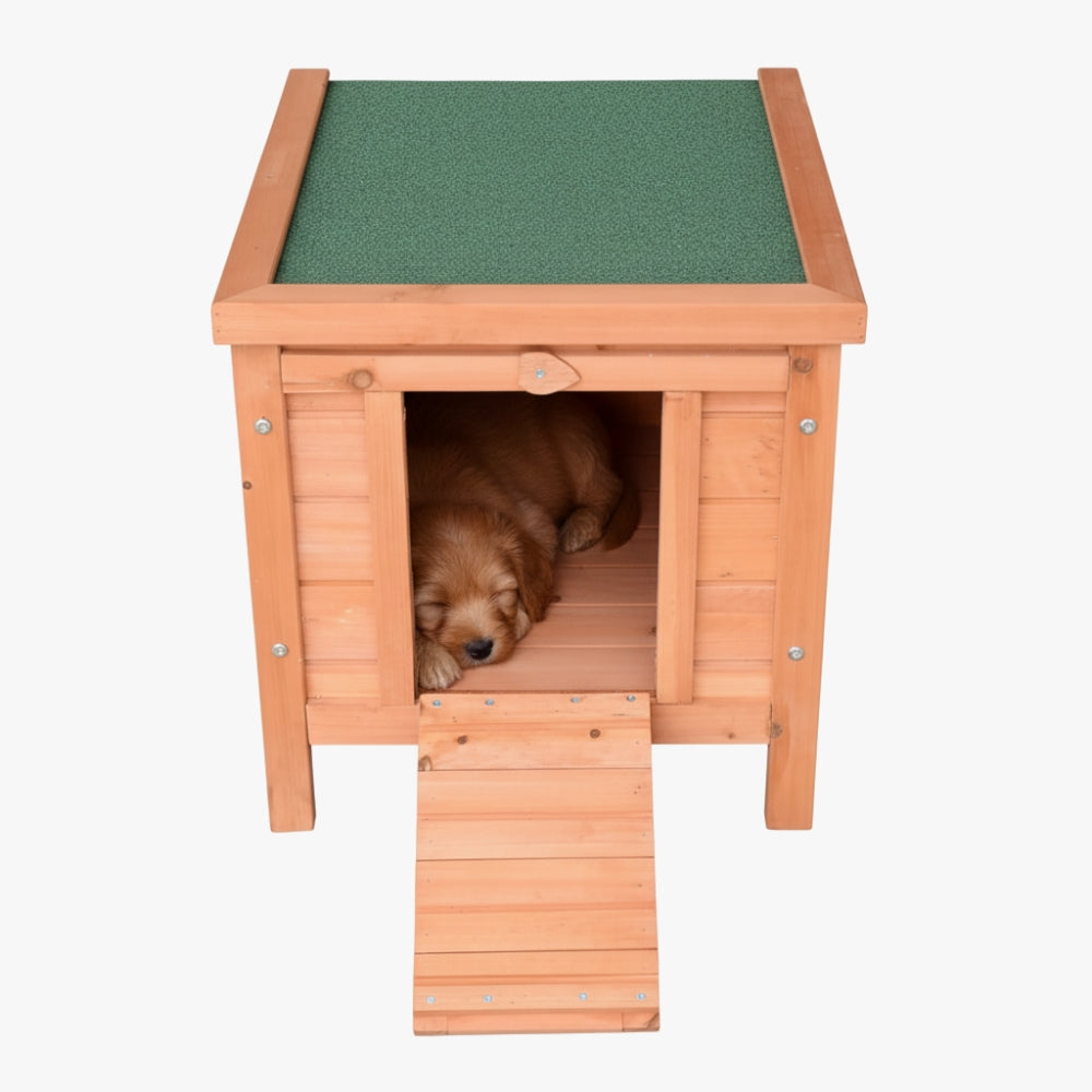 niche-en-bois-pour-petit-chien-dessus