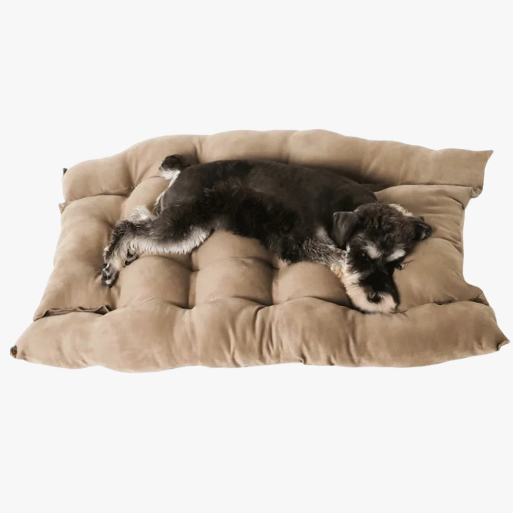 panier-coussin-pour-chien-beige-deplie