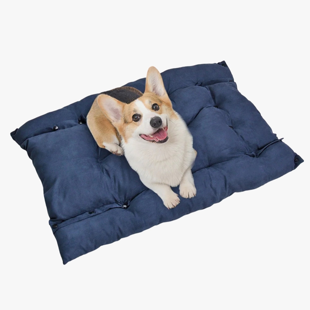 panier-coussin-pour-chien-bleu-dessus