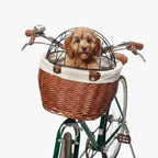 panier-de-velo-pour-chien-en-rotin