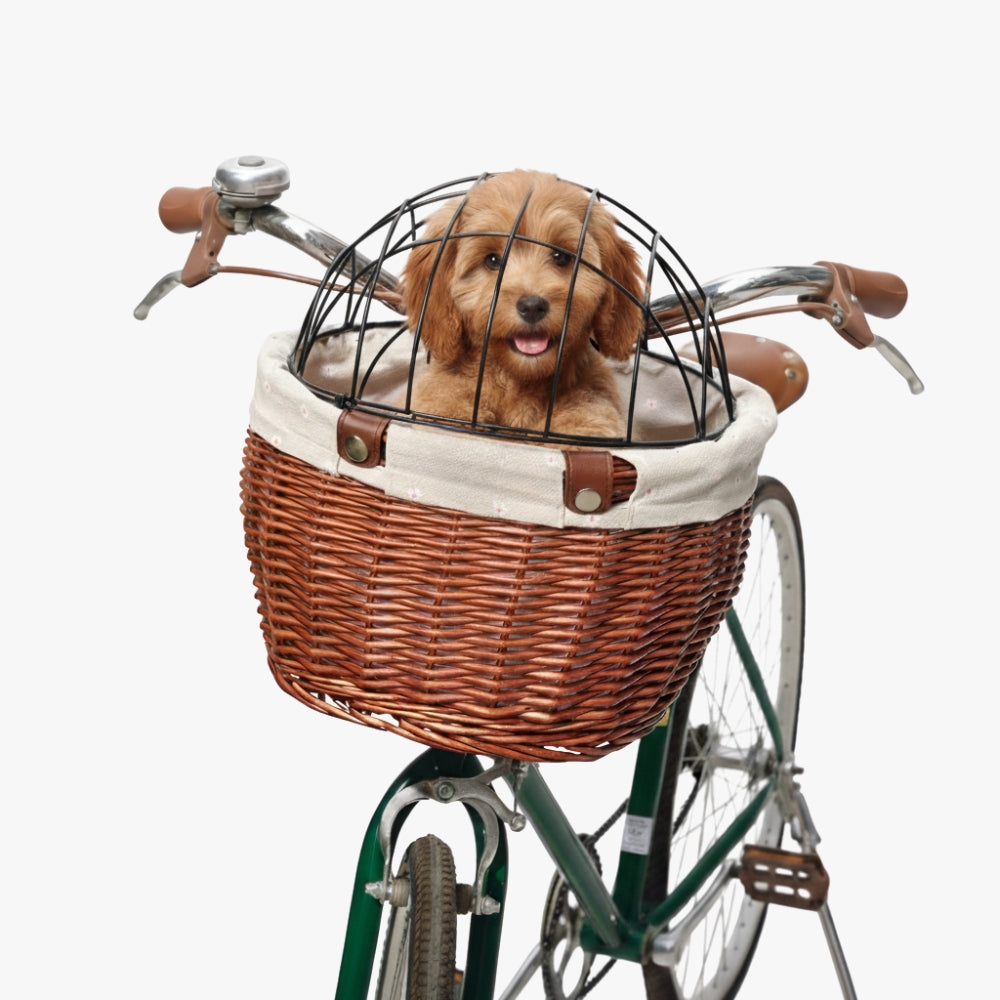 panier-de-velo-pour-chien-en-rotin
