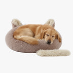 panier-donut-pour-chien-original-cafe