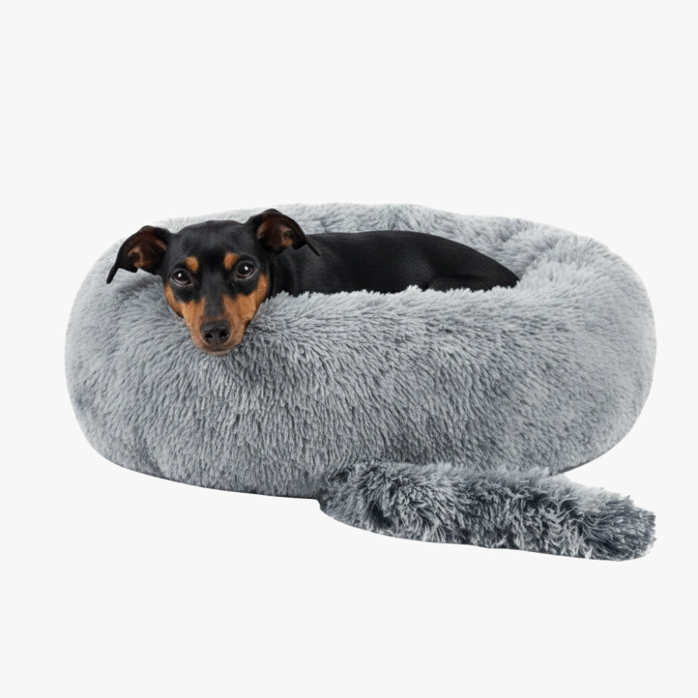 panier-donut-pour-chien-original-gris-clair-avec-chien