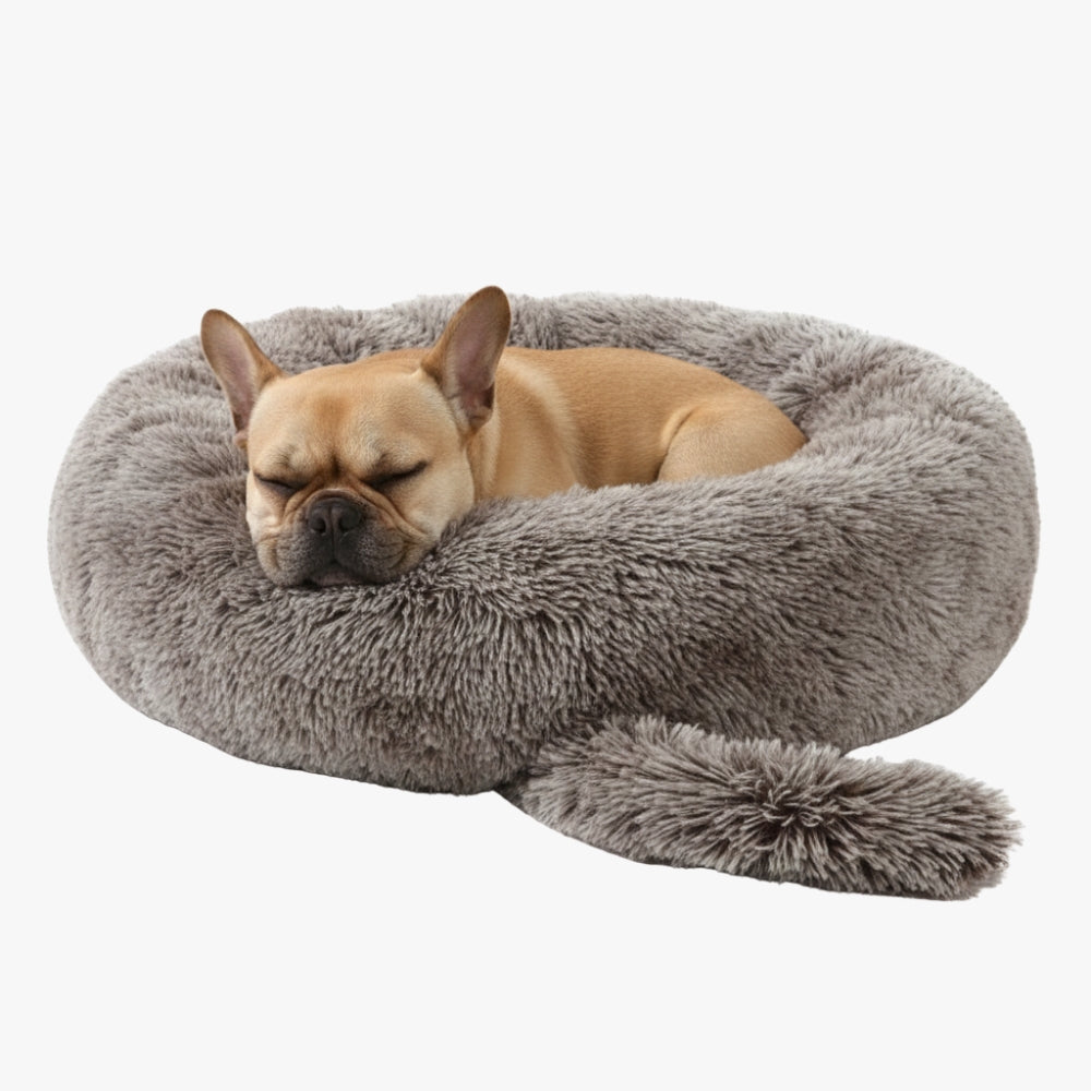 panier-donut-pour-chien-original-marron-gris-avec-chien