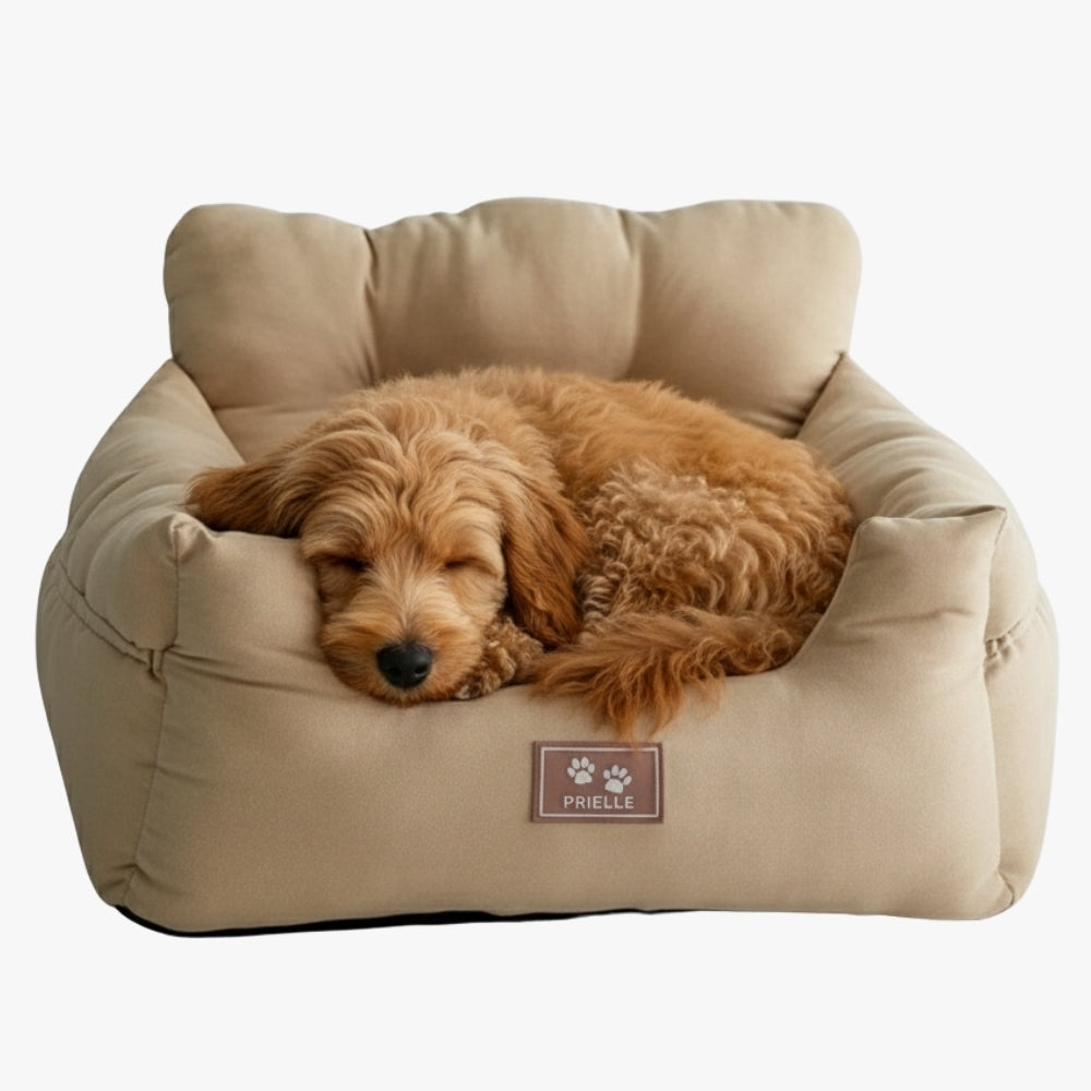 panier-fauteuil-pour-chien