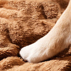 panier-ferme-pour-petit-chien-marron-moelleux