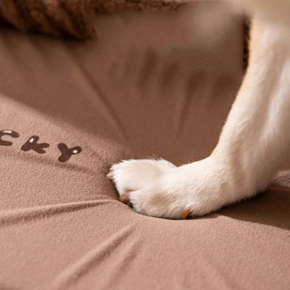 panier-ferme-pour-petit-chien-marron-tapis