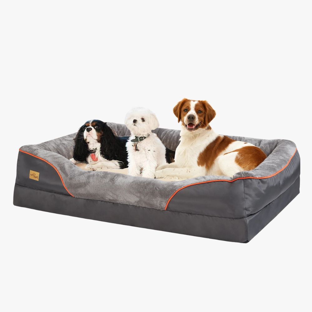panier-orthopedique-pour-chien-gris-rebords-chiens