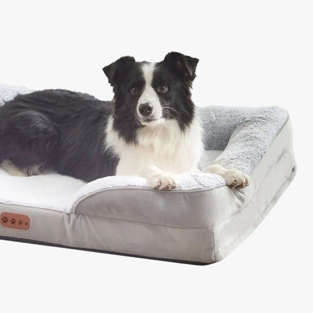 panier-orthopedique-pour-chien-moyen-lavage-closeup