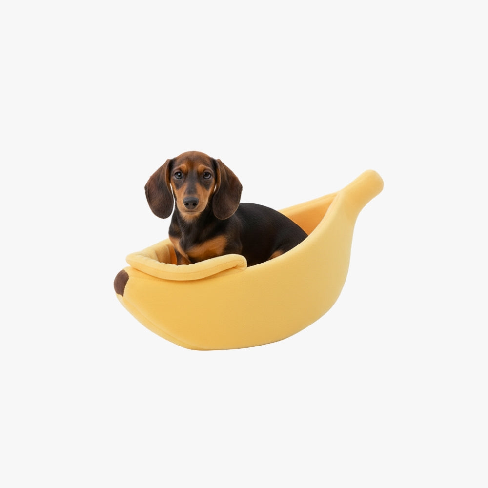 panier-pour-chien-banane-m