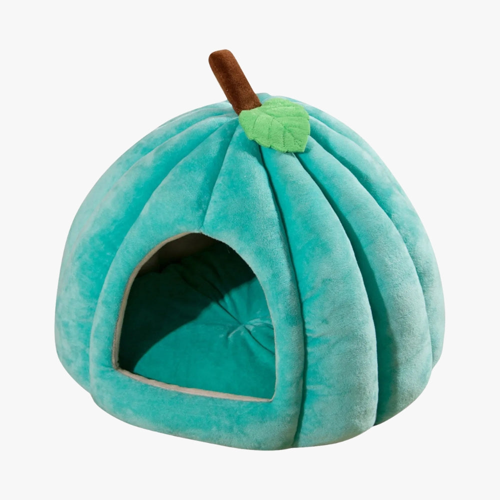 panier-pour-chien-citrouille-bleu-vide