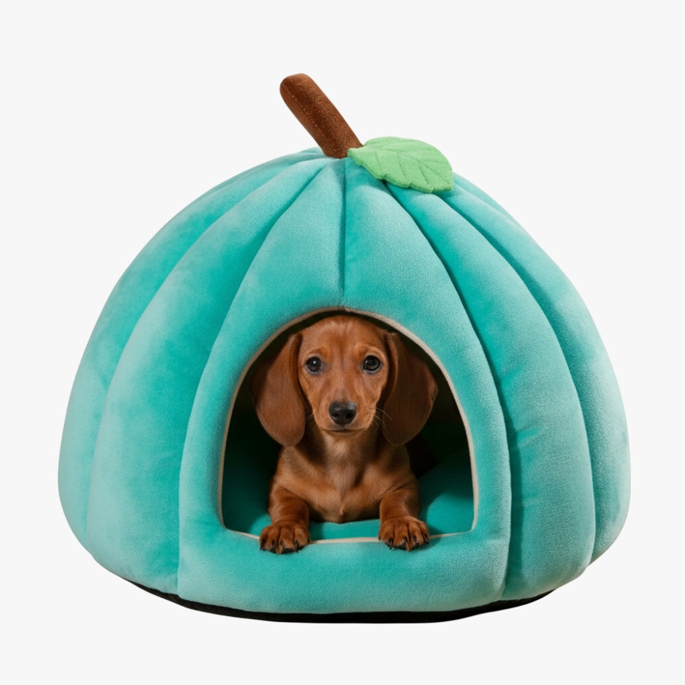panier-pour-chien-citrouille-bleu