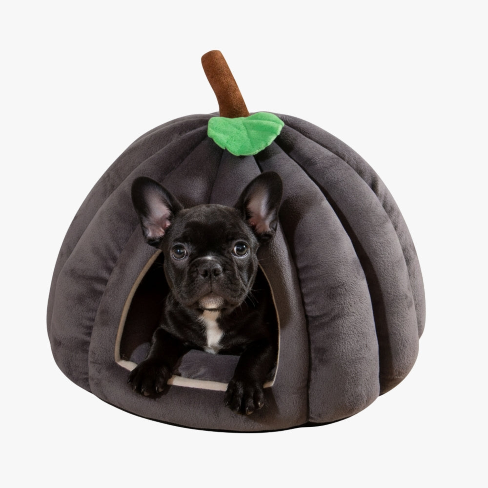 panier-pour-chien-citrouille-noir