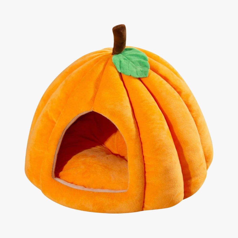 panier-pour-chien-citrouille-orange-vide