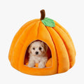 panier-pour-chien-citrouille-orange