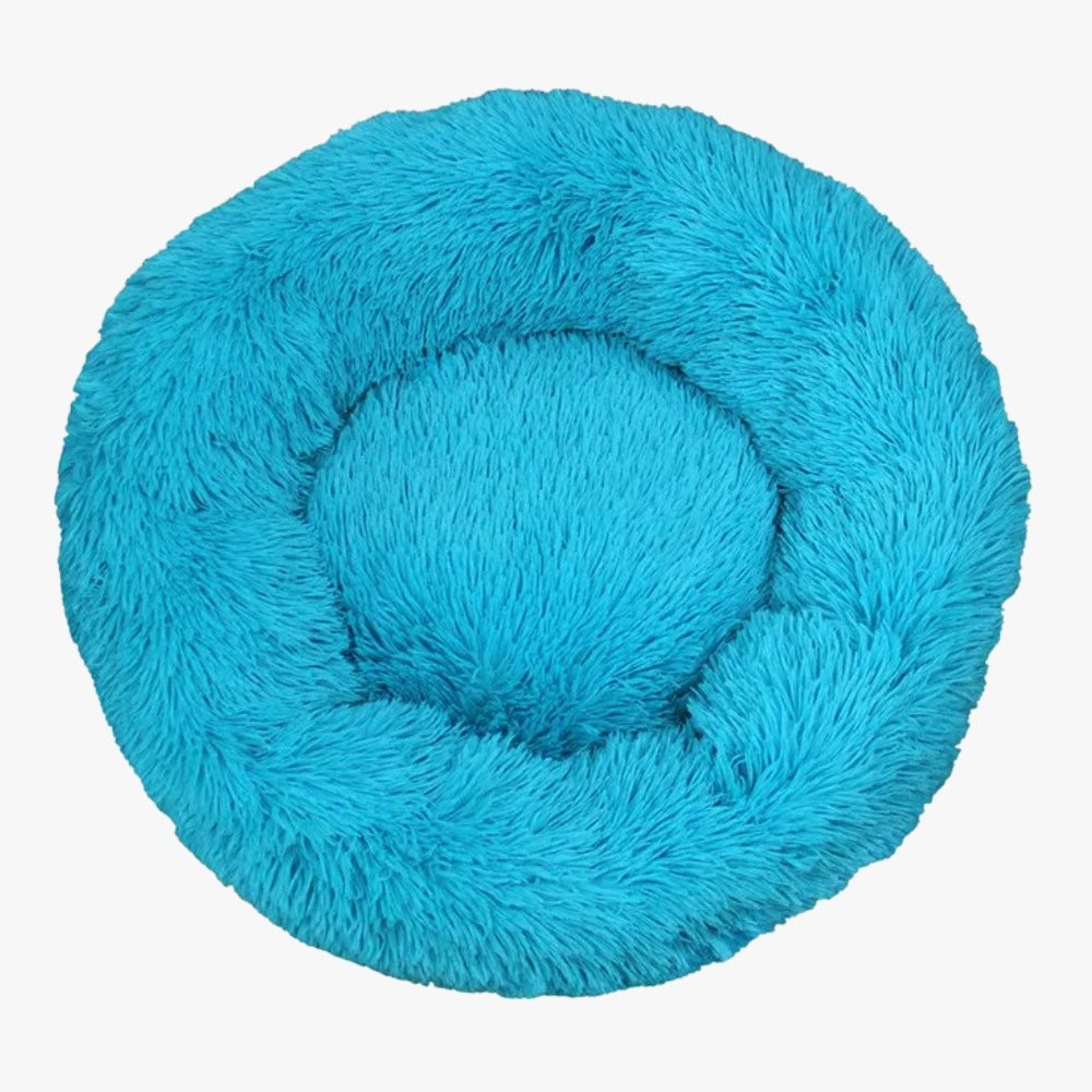 panier-pour-chien-donut-bleu-dessus-vide