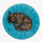 panier-pour-chien-donut-bleu-dessus