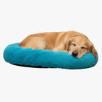 panier-pour-chien-donut-bleu