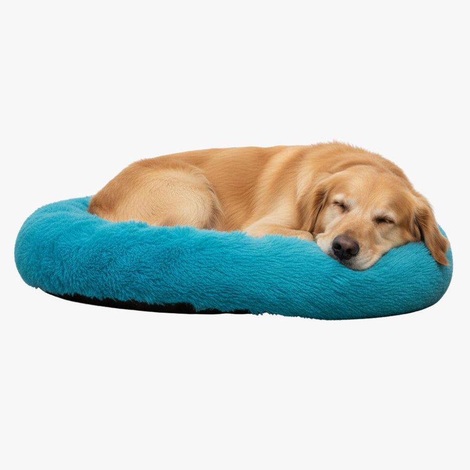 panier-pour-chien-donut-bleu