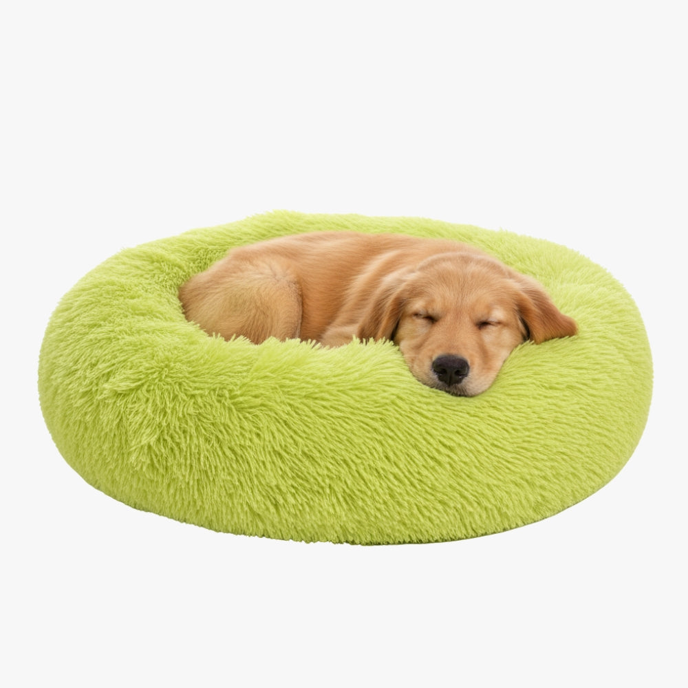 panier-pour-chien-donut-vert-face