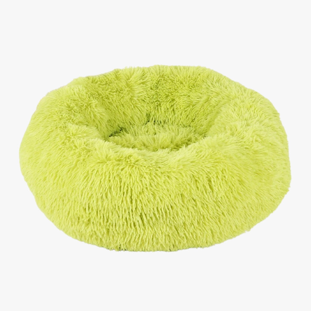 panier-pour-chien-donut-vert-vide