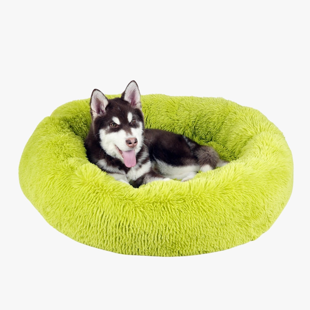 panier-pour-chien-donut-vert