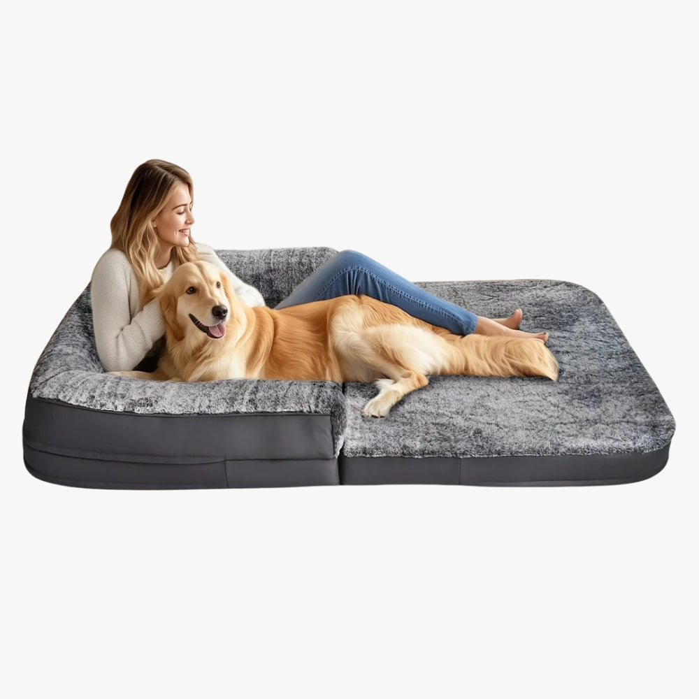 panier-pour-chien-et-humain