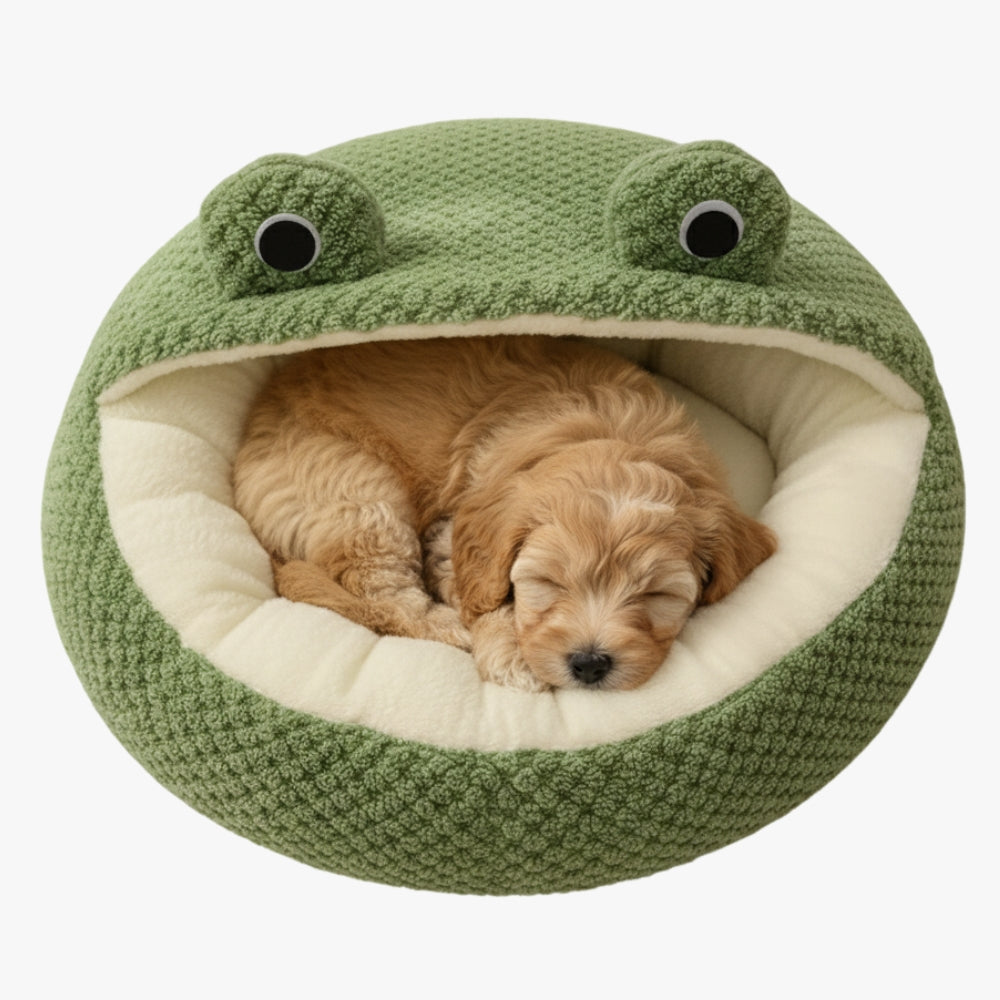 panier-pour-chien-grenouille-en-velours-dessus