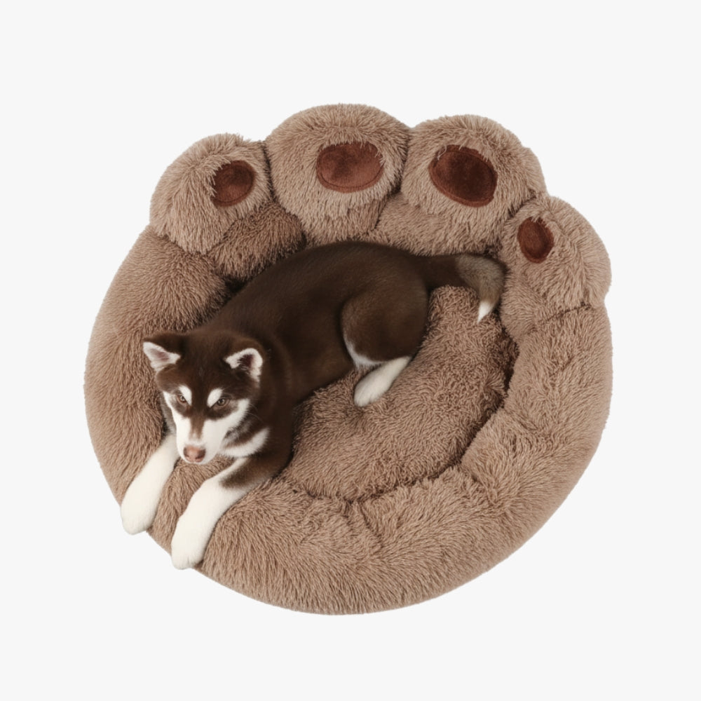 panier-pour-chien-marron-moelleux-en-forme-de-patte-top
