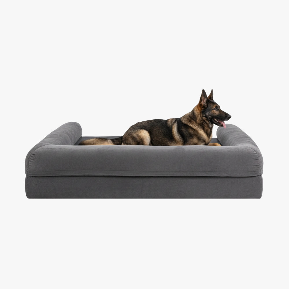 panier-pour-chien-orthopedique-xxl-gris-dos