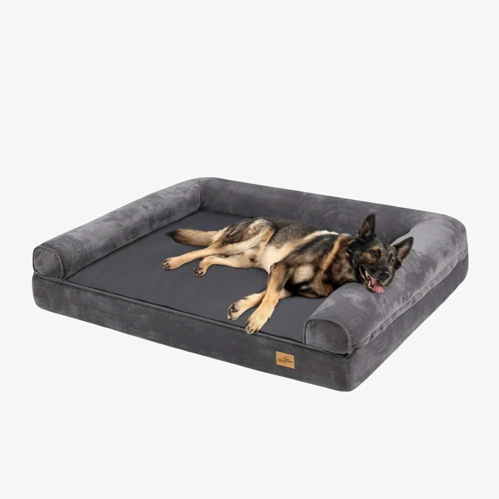 panier-pour-chien-orthopedique-xxl-gris-model