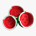 panier-pour-chien-pasteque-3