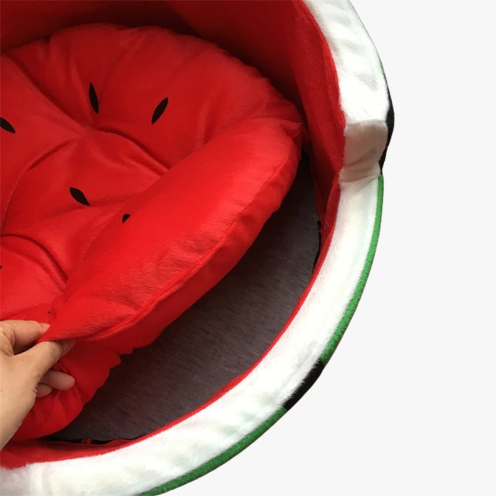 panier-pour-chien-pasteque-closeup