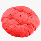 panier-pour-chien-pasteque-coussin