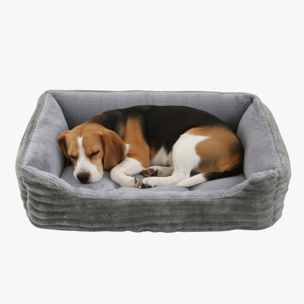 panier-pour-chien-rectangulaire-gris-rebords